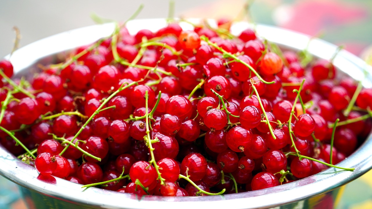 Using Berries from Your Garden to Create Natural Dyes